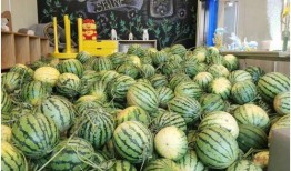 最新免费吃瓜,揭秘娱乐圈最新热点事件